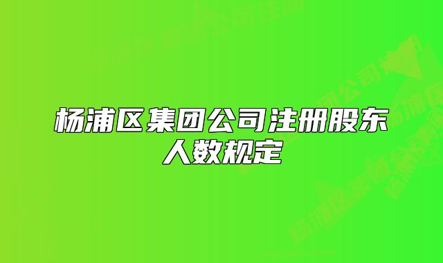 杨浦区集团公司注册股东人数规定