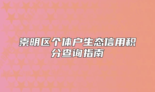 崇明区个体户生态信用积分查询指南