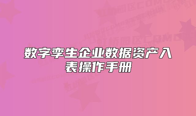 数字孪生企业数据资产入表操作手册