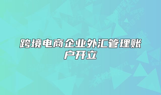 跨境电商企业外汇管理账户开立