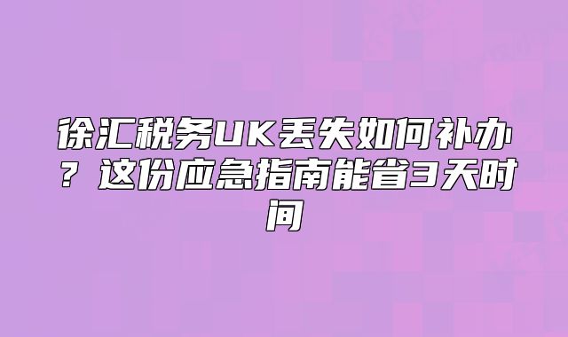徐汇税务UK丢失如何补办？这份应急指南能省3天时间