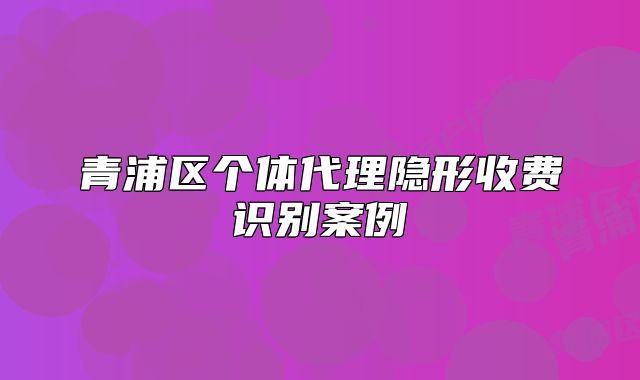 青浦区个体代理隐形收费识别案例