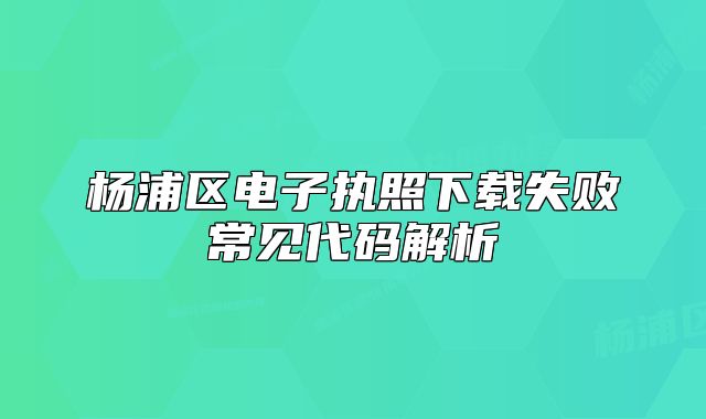 杨浦区电子执照下载失败常见代码解析