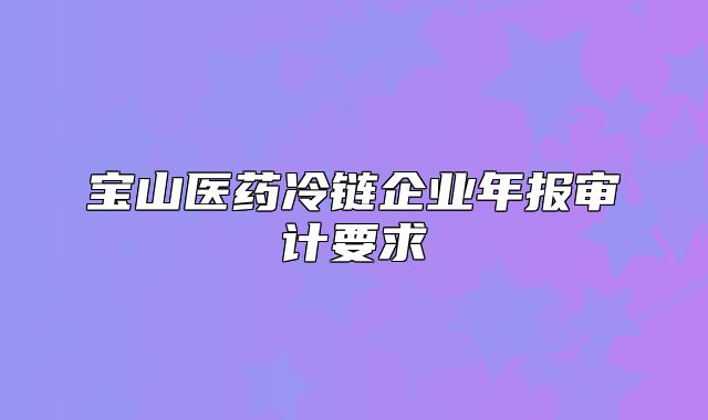 宝山医药冷链企业年报审计要求