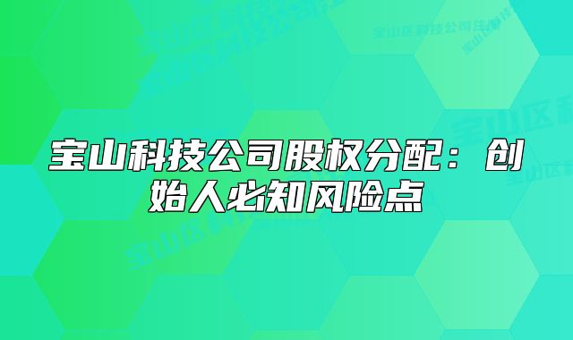 宝山科技公司股权分配:创始人必知风险点