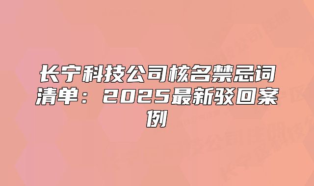 长宁科技公司核名禁忌词清单:2025最新驳回案例