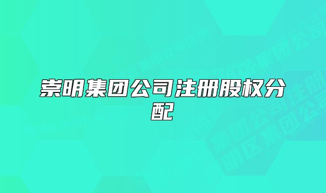 崇明集团公司注册股权分配