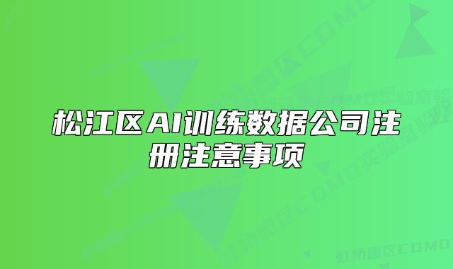松江区AI训练数据公司注册注意事项