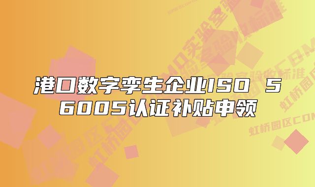 港口数字孪生企业ISO 56005认证补贴申领