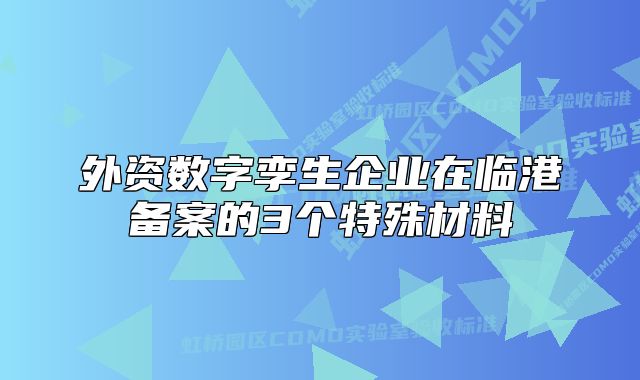 外资数字孪生企业在临港备案的3个特殊材料