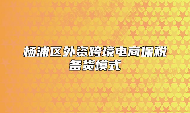 杨浦区外资跨境电商保税备货模式