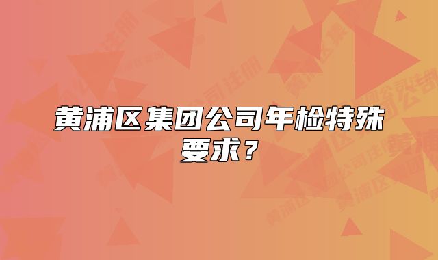 黄浦区集团公司年检特殊要求？