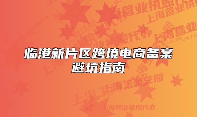 临港新片区跨境电商备案避坑指南