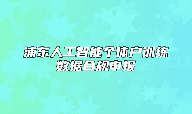 浦东人工智能个体户训练数据合规申报