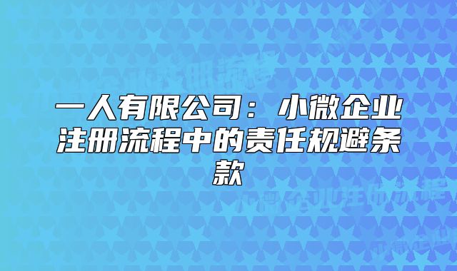 一人有限公司:小微企业注册流程中的责任规避条款