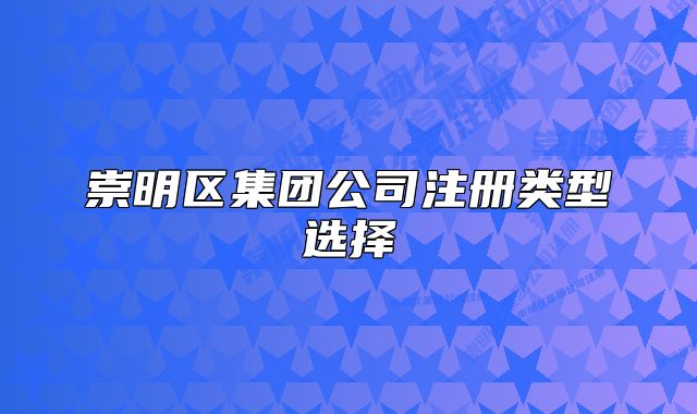 崇明区集团公司注册类型选择