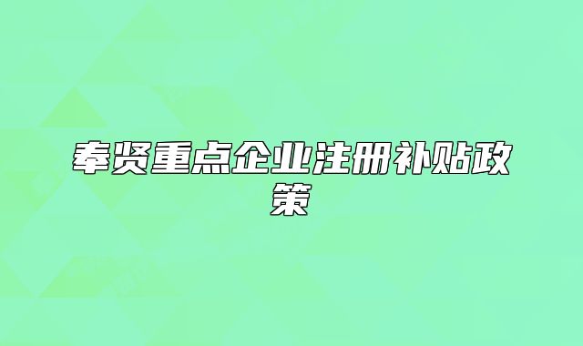 奉贤重点企业注册补贴政策