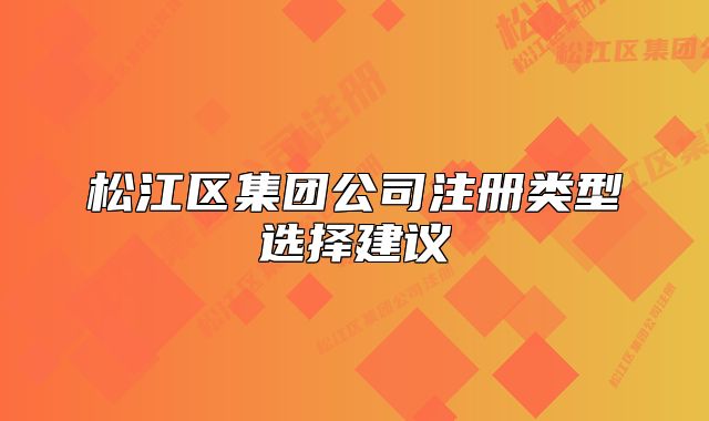 松江区集团公司注册类型选择建议