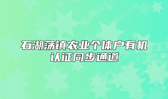 石湖荡镇农业个体户有机认证同步通道