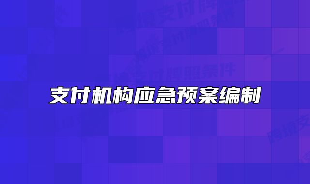 支付机构应急预案编制
