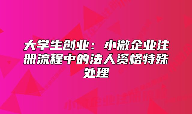 大学生创业:小微企业注册流程中的法人资格特殊处理