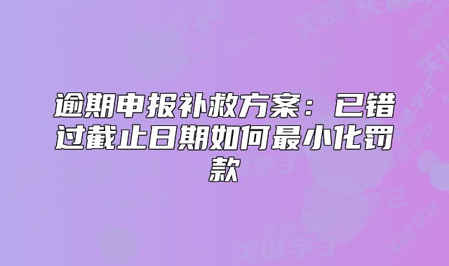 逾期申报补救方案:已错过截止日期如何最小化罚款