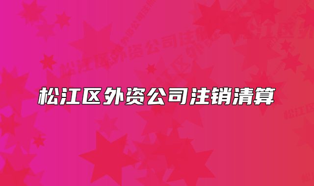 松江区外资公司注销清算