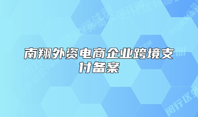 南翔外资电商企业跨境支付备案