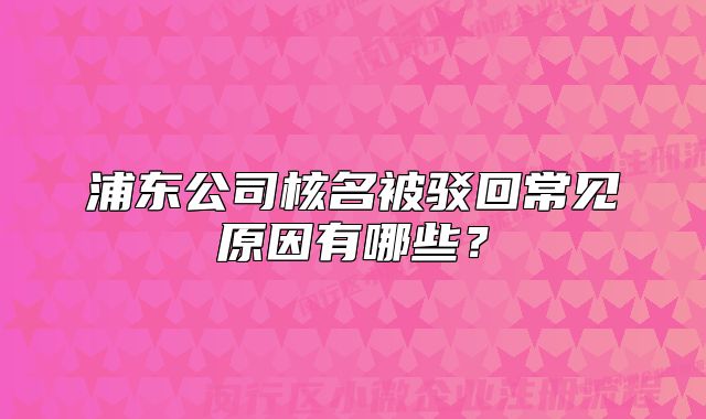 浦东公司核名被驳回常见原因有哪些？