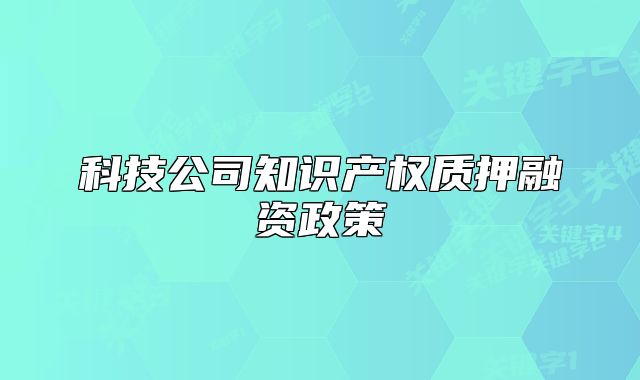 科技公司知识产权质押融资政策