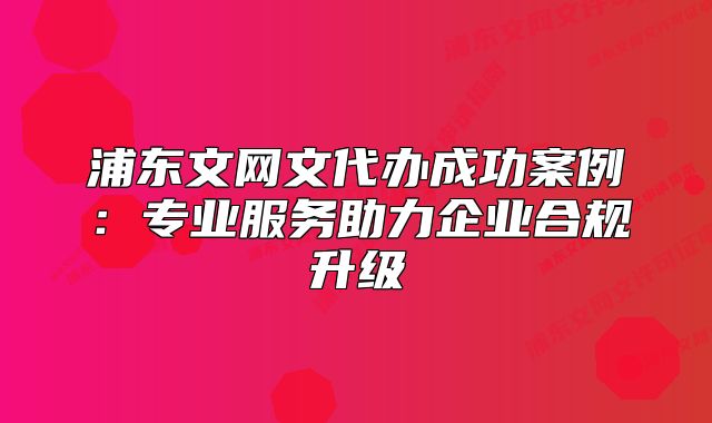 浦东文网文代办成功案例:专业服务助力企业合规升级