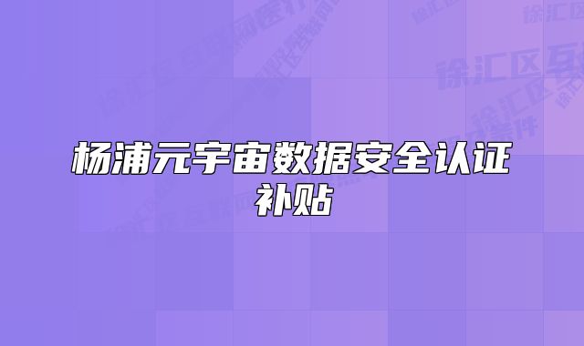 杨浦元宇宙数据安全认证补贴