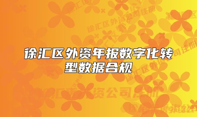 徐汇区外资年报数字化转型数据合规