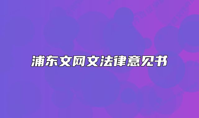 浦东文网文法律意见书