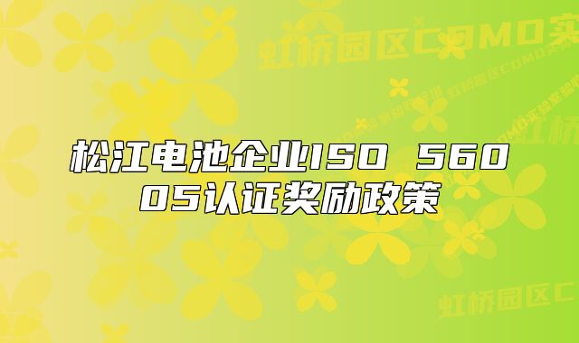 松江电池企业ISO 56005认证奖励政策