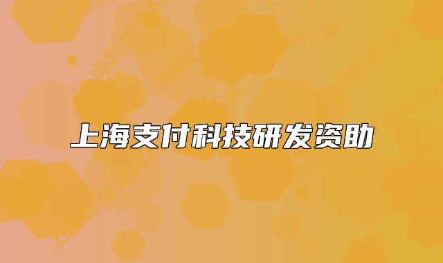 上海支付科技研发资助