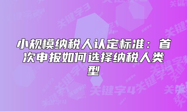 小规模纳税人认定标准：首次申报如何选择纳税人类型