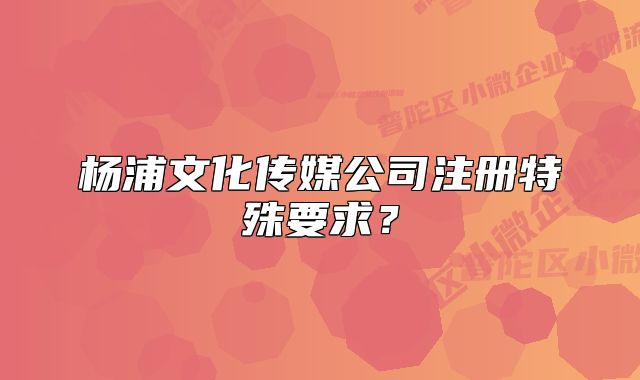杨浦文化传媒公司注册特殊要求?