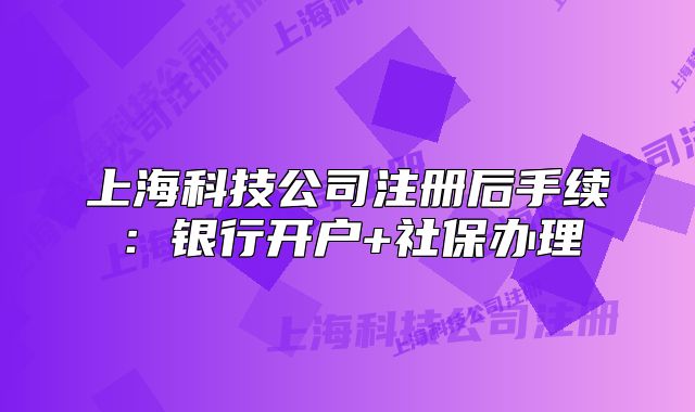 上海科技公司注册后手续:银行开户+社保办理