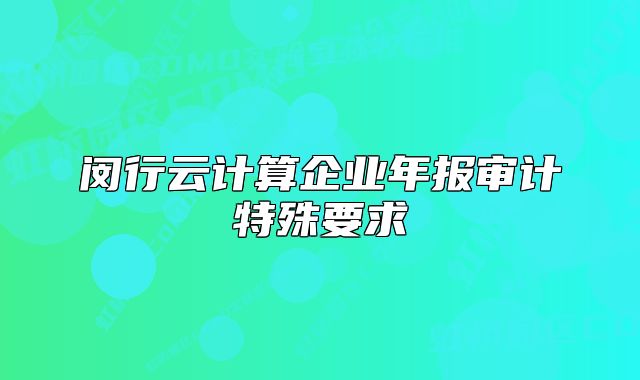 闵行云计算企业年报审计特殊要求