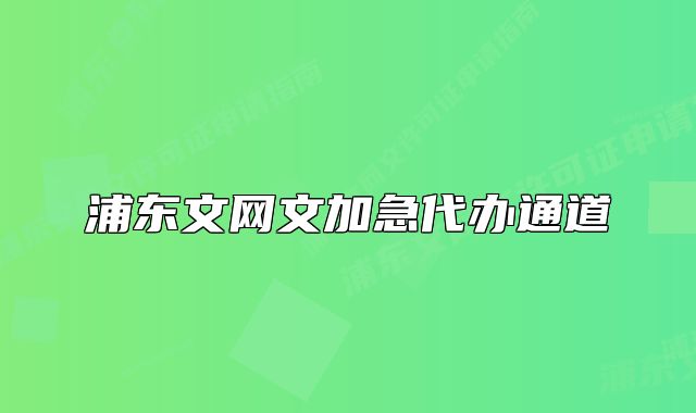 浦东文网文加急代办通道