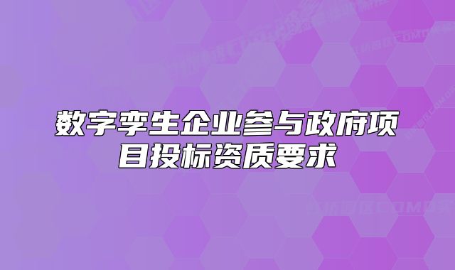 数字孪生企业参与政府项目投标资质要求