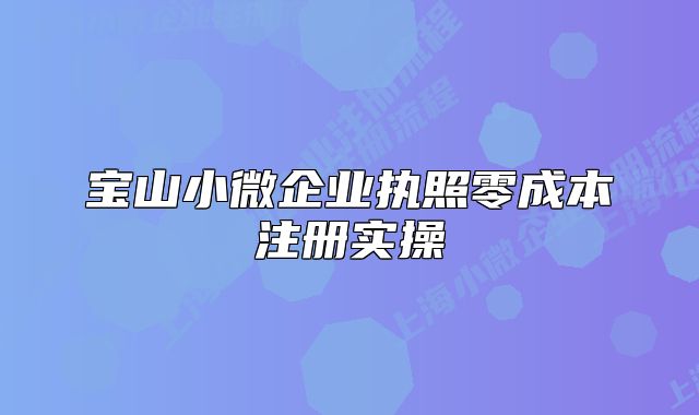 宝山小微企业执照零成本注册实操