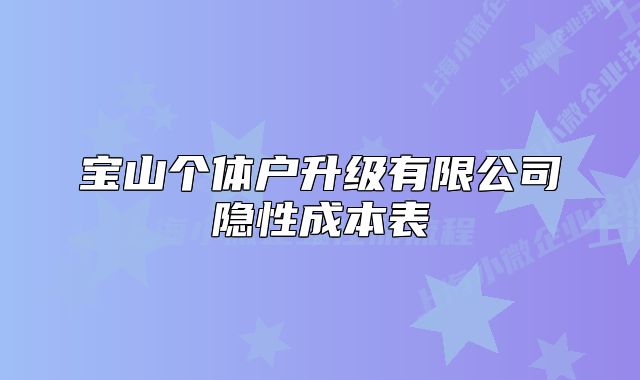 宝山个体户升级有限公司隐性成本表