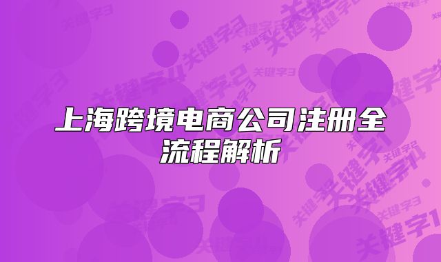 上海跨境电商公司注册全流程解析