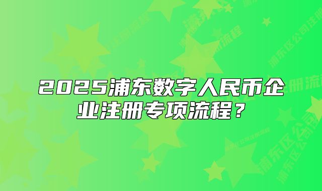 2025浦东数字人民币企业注册专项流程？