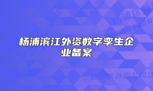 杨浦滨江外资数字孪生企业备案
