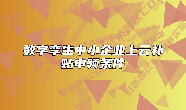 数字孪生中小企业上云补贴申领条件