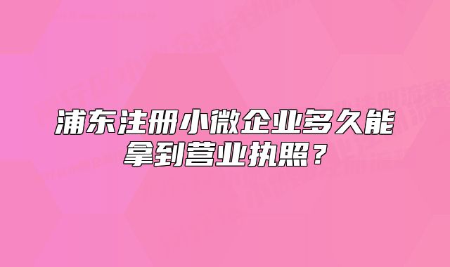 浦东注册小微企业多久能拿到营业执照?