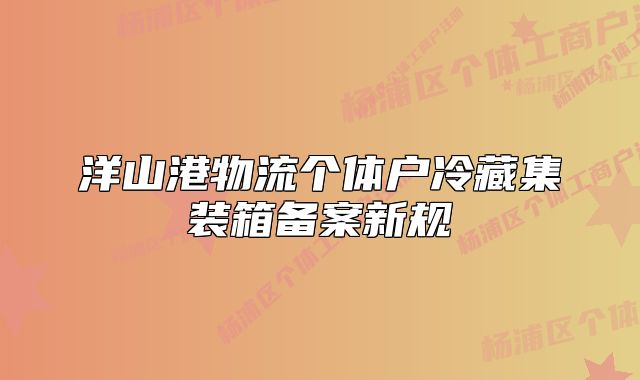 洋山港物流个体户冷藏集装箱备案新规
